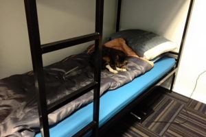hostel-bunk-bed-manufacturer