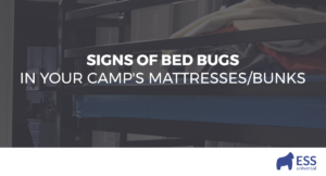 Signs of Bed Bugs in Your Camp's Mattresses/Bunks