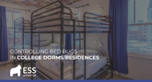 Controlling Bed Bugs in College Dorms/Residences
